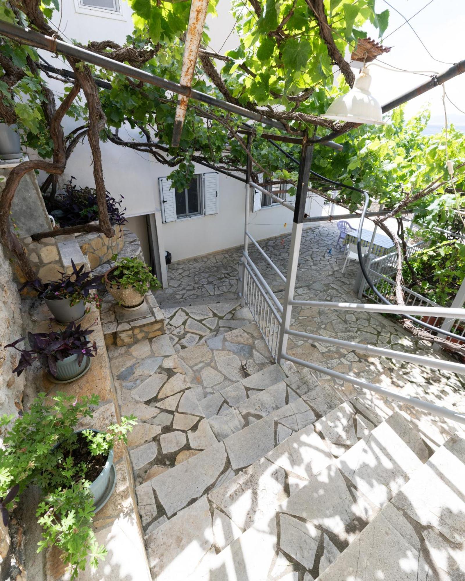 Pano Qeparo